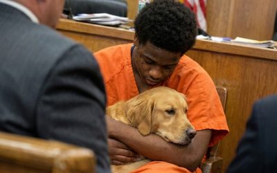 He Risked Prison to Save a Dog, But What the Dog Did in Court Left the Judge Speechless
