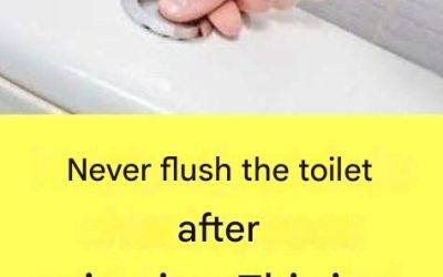 Why Is It Extremely Important Not to Flush the Toilet After Every Urination