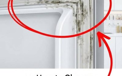 Here’s how to clean your refrigerator’s waterproof seal in 5 minutes.