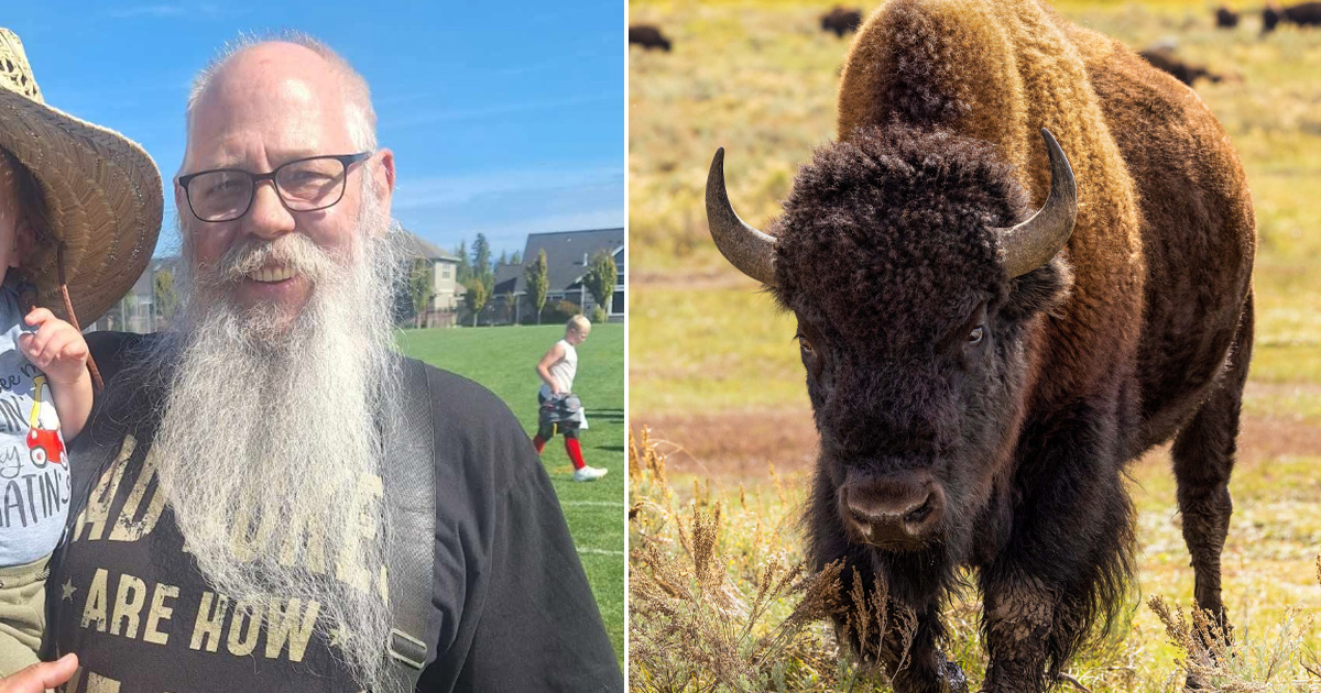 Identity of man tossed 8 feet into the air by massive bison in Yellowstone video revealed