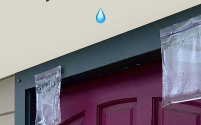 Why you really should hang a bag of water over your door this summer