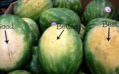 5 key tips to make sure you pick the perfect watermelon every time
