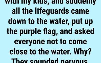 What Does the Purple Beach Flag Mean? The Hidden Ocean Warning Most Swimmers Ignore