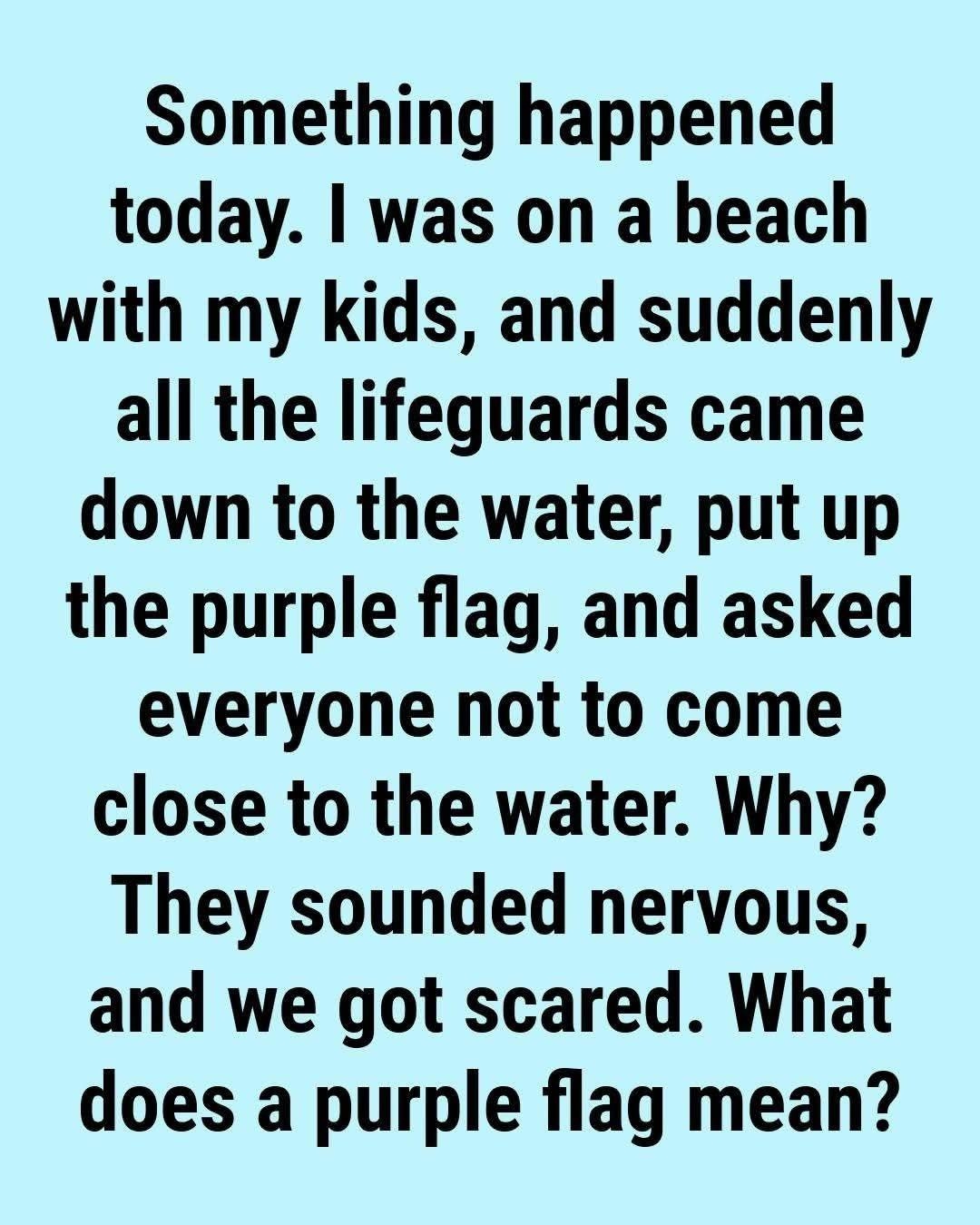 What Does the Purple Beach Flag Mean? The Hidden Ocean Warning Most Swimmers Ignore