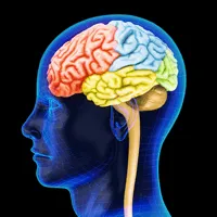 High Levels of Blood Sugar Causing Brain Shrinkage & Memory Loss