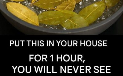 Banish Flies, Mosquitoes, and Cockroaches with These Simple Natural Remedies
