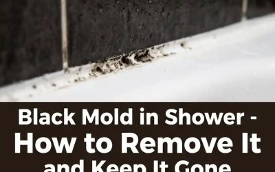 Black Mold in Shower: How to Remove It and Keep It Gone for Good