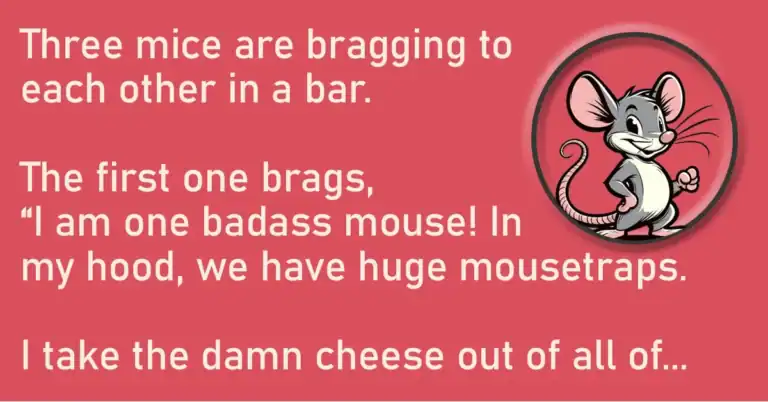 Three Mice Are Bragging To Each Other In A Bar.