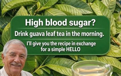 Guava Leaf Tea: Can It Support Healthy Blood Sugar Levels?