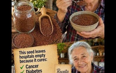 The seed that left hospitals empty